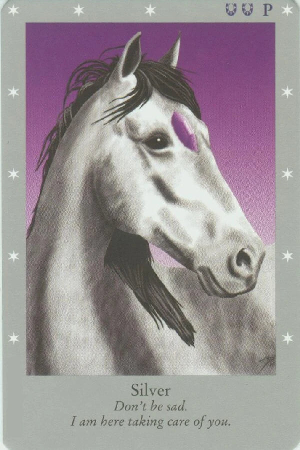 Silver - MP - Bella Silver