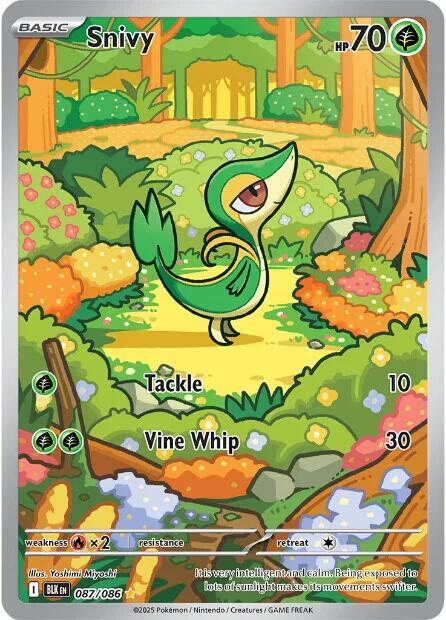 Snivy - 87/86 - Black Bolt