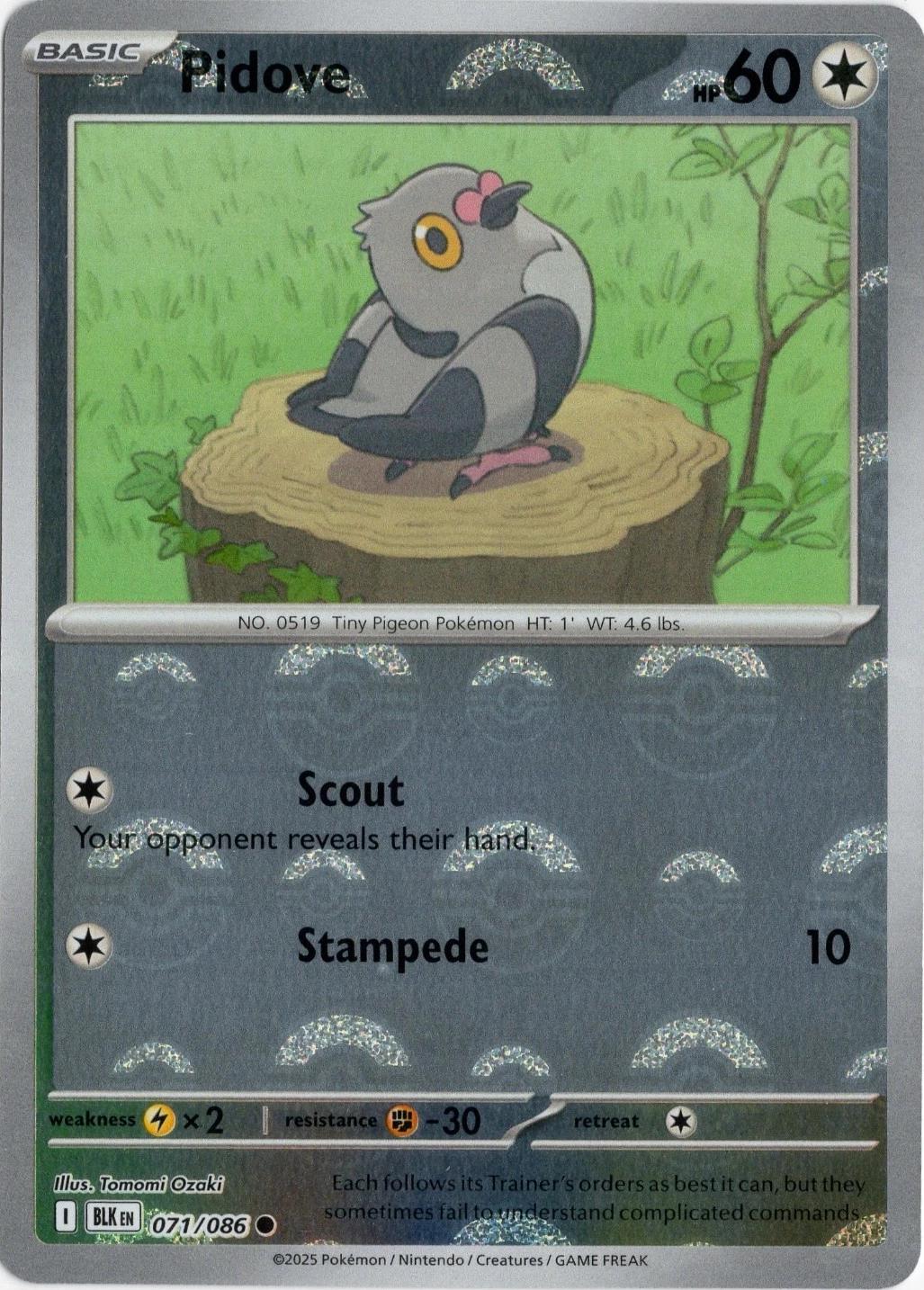 Pidove - Pokeball Reverse - 71/86 - Black Bolt