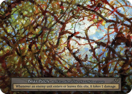 Briar Patch - Arthurian Legends