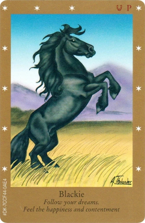 Blackie - MP - Danish Gold Series
